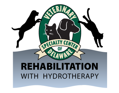 Carisoprodol Rehab Treatment FacilityForest Dale VT